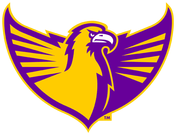 Tennessee Tech Golden Eagles 2006-Pres Alternate Logo v7 iron on transfers for fabric